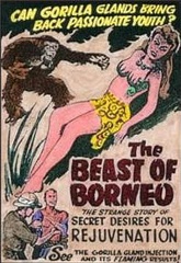 The Beast Of Borneo - 1934