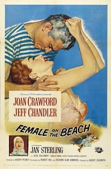 Female On The Beach - 1955